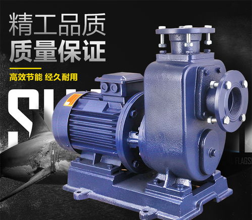 直联式自吸无堵塞排污泵 高效可靠的自吸技术解析