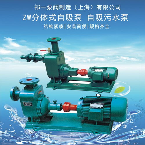案例分析 C型无密封自吸泵与自吸氟塑料合金泵的市场与应用（附录）
